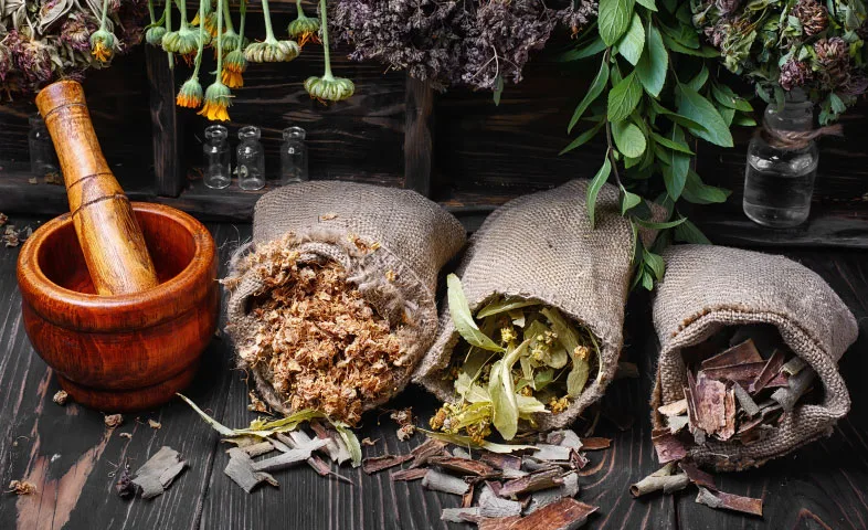 5 Ancient Herbs That Still Work Wonders Today